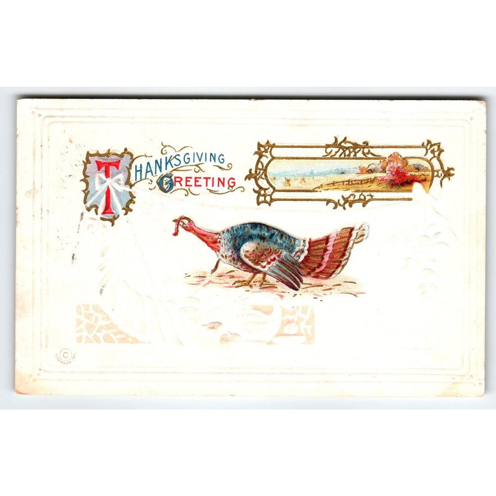 Vintage 1911 Thanksgiving Greeting Postcard with Turkey Lithograph